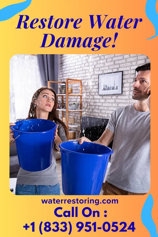 water restoration Rapid Water Repair Professionals Gang Mills