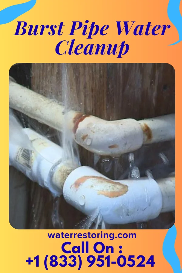 Burst Pipe Water Cleanup in Gang Mills, NY