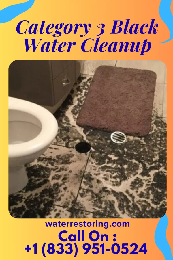Category 3 Black Water Cleanup in Gang Mills, NY