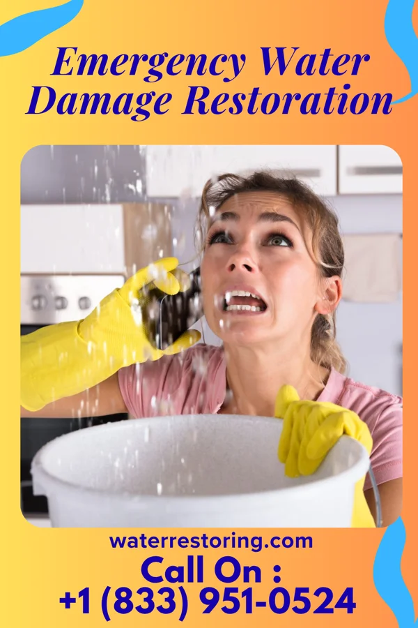 Emergency Water Damage Restoration in Gang Mills, NY