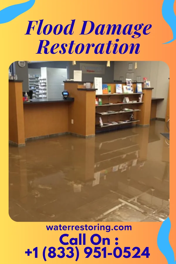 Flood Damage Restoration in Gang Mills, NY