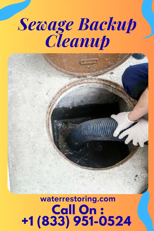 Sewage Backup Cleanup in Gang Mills, NY