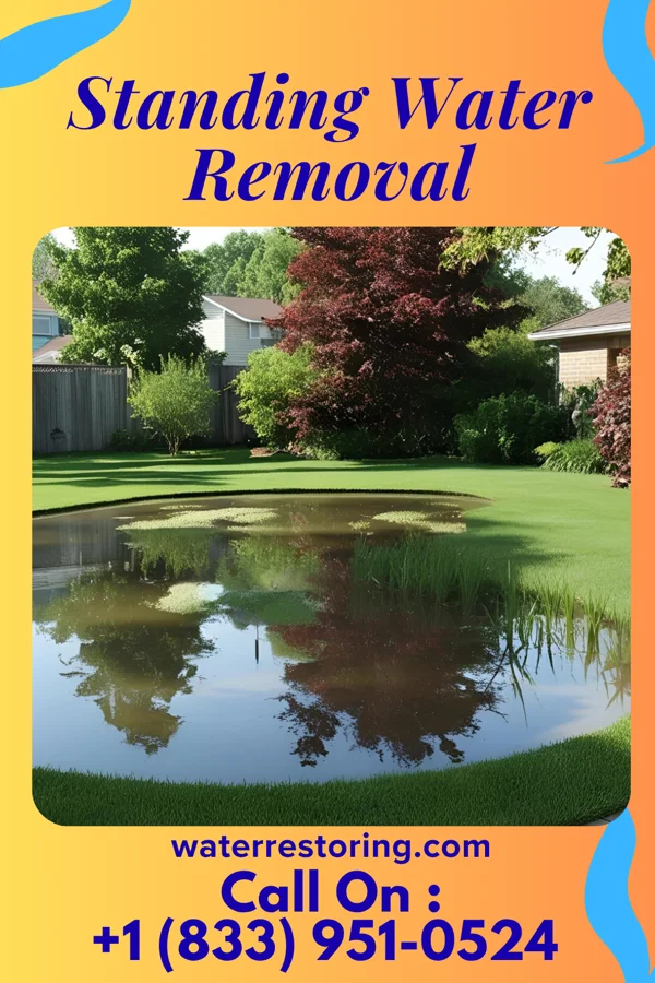 Standing Water Removal in Gang Mills, NY